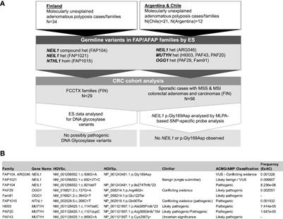 Mono- and biallelic germline variants of DNA glycosylase genes in colon adenomatous polyposis families from two continents